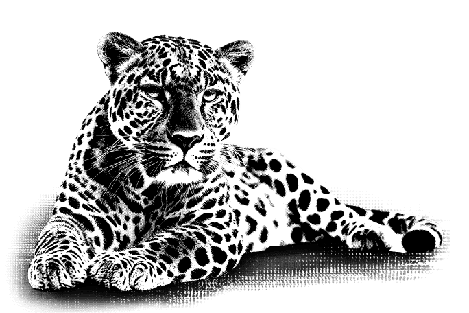 shapeTAM_Footer Jaguar
